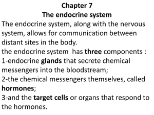 CLinical Manifestations