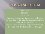 ENDOCRINE pathology