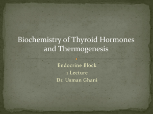 02 Thyroid Hormones