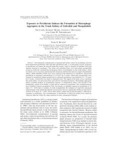 Exposure to Perchlorate Induces the Formation of Macrophage