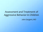 Assessment and Treatment of Aggressive Behavior in Children