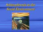 Schizophrenia and the Life Cycle
