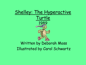 Shelley: The Hyperactive Turtle