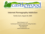 Internet Pornogrophy Addition – Family Court Lecture