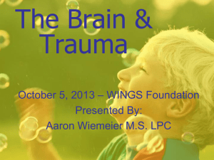 The Brain & Trauma - Rocky Mountain Trauma Institute