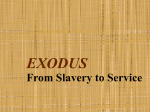 EXODUS