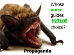Propaganda Overview