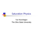 Saturation Physics Yuri Kovchegov The Ohio State University
