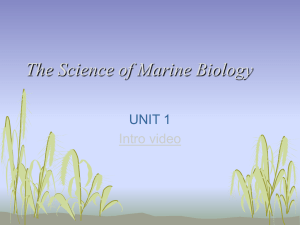 HISTORY OF MARINE BIOLOGY