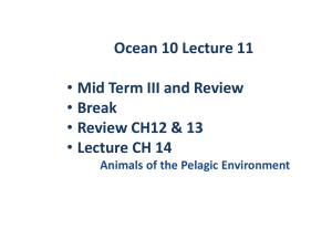ocean_10_lecture_11