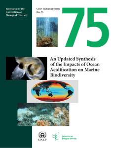 75 An Updated Synthesis of the Impacts of Ocean Acidification on Marine