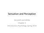 Sensation and Perception - Shannon Deets Counseling