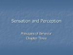 Sensation & Perception - Texas Christian University