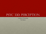 PSYC 330: Perception