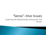 Sense”-itive Issues - Los Alamitos Unified School