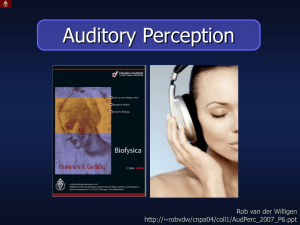 Auditory Perception P1