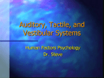 Auditory, Tactile, and Vestibular Systems