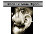 Grade12SenseOrgans_001