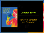 chapter 7 nonvisual sensation and perception