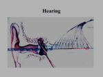 (1) limits of hearing