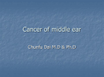 Cancer of middle ear
