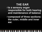 THE EAR - s3.amazonaws.com