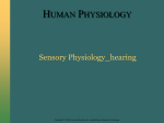 AL_sensory_physiology_2_edited