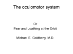 Oculomotor_2004