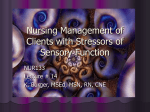 Nursing Management of Clients with Sensory Function