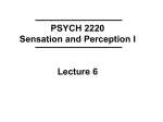 lecture 6