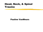 Head, Neck, & Spinal Trauma