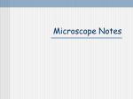 Microscope Notes