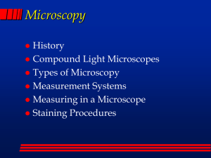 Bacterial Classification