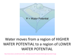 WATER POTENTIAL