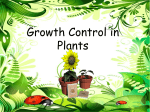 Plant Growth