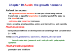 Chapter 19 Auxin: the growth hormone Animal hormones