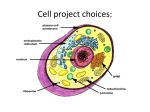 Cell project choices: