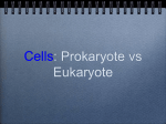 Cells: Prokaryote vs Eukaryote