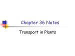 Chapter 1 Notes