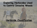 Using Herbicides to Manage Noxious Weeds
