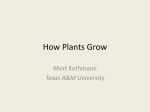 2 How Plants Grow