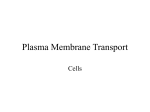 Plasma Membrane Transport