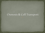 Osmosis & Cell Transport