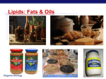 Lipids: Fats & Oils