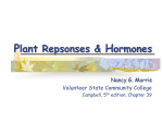 Plant Hormones