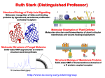 Ruth Stark (Distinguished Professor)