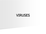 VIRUSES - Biology