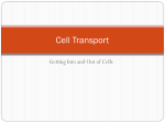 Cell Transport - Broken Arrow Public Schools