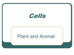 Cells - Baldwin Schools Teachers