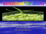 Somaclonal Variations